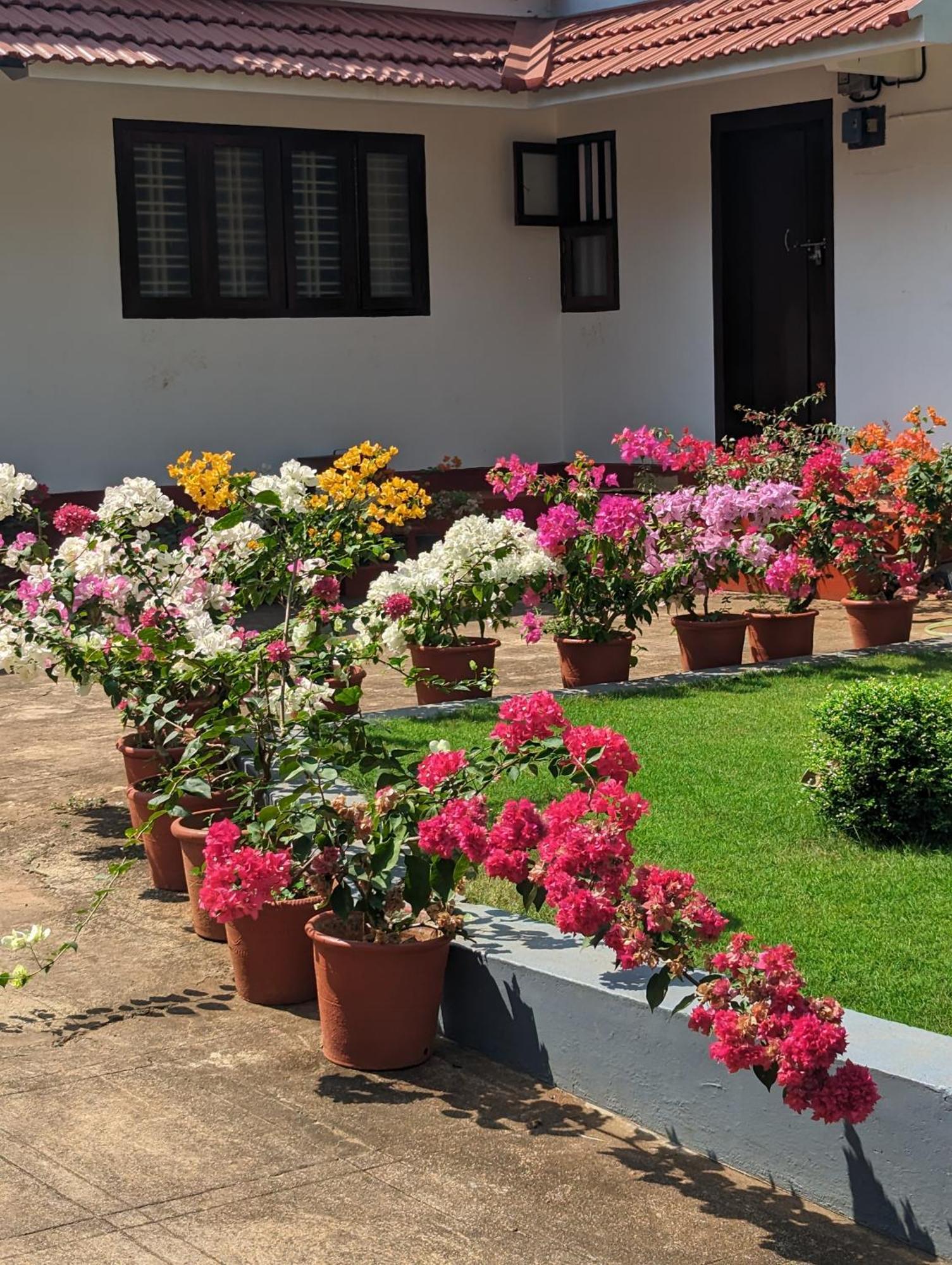 Hill Top Homes Kannur Exterior foto